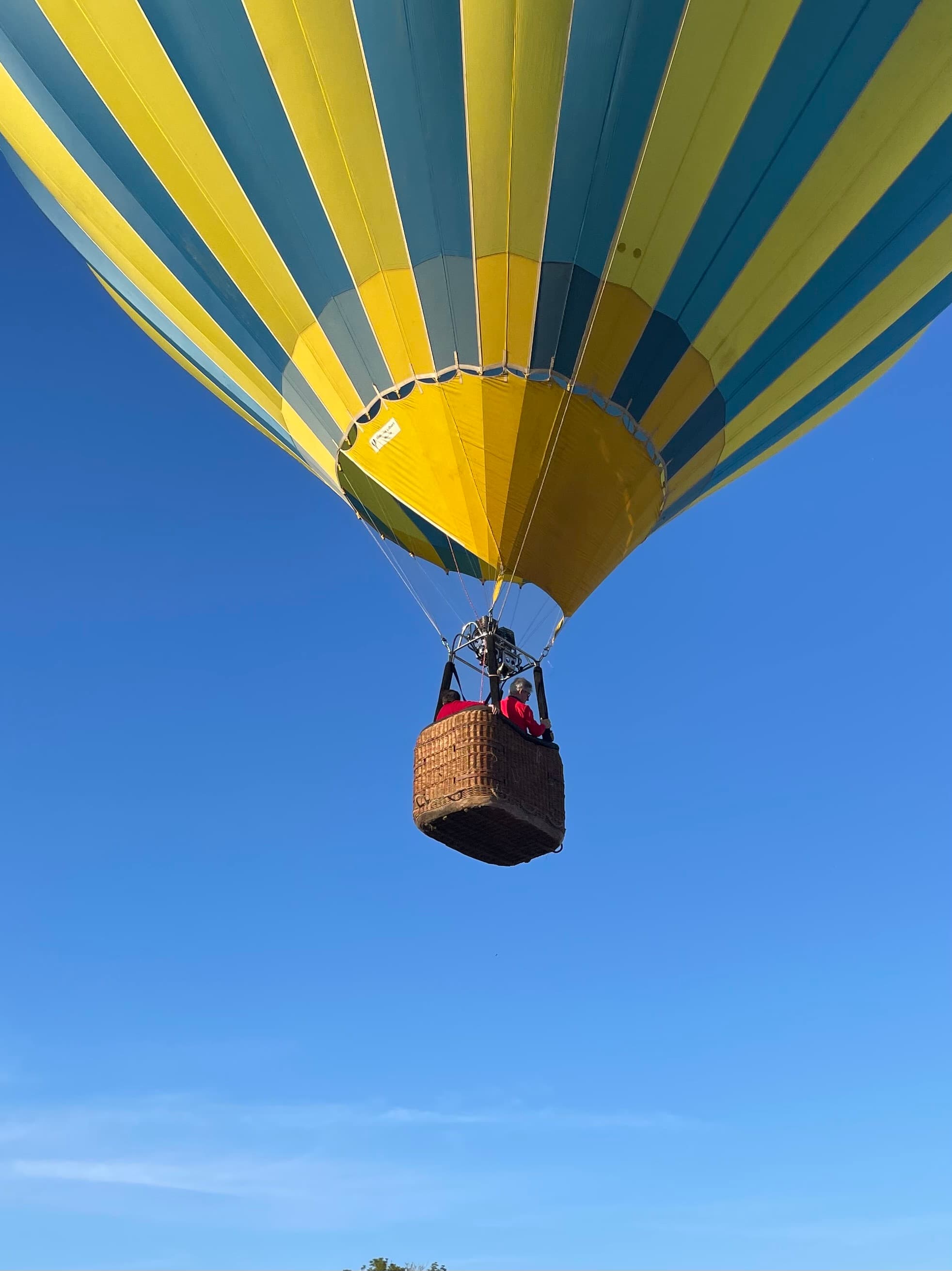 Dégustation d'huîtres